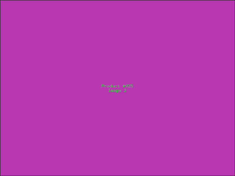 Example Product 925 - Image 2