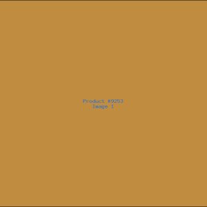 Example Product 9253