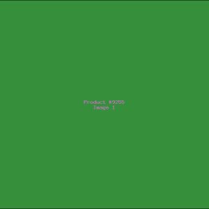 Example Product 9255