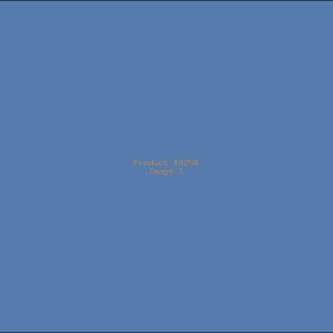 Example Product 9258