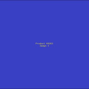 Example Product 9263