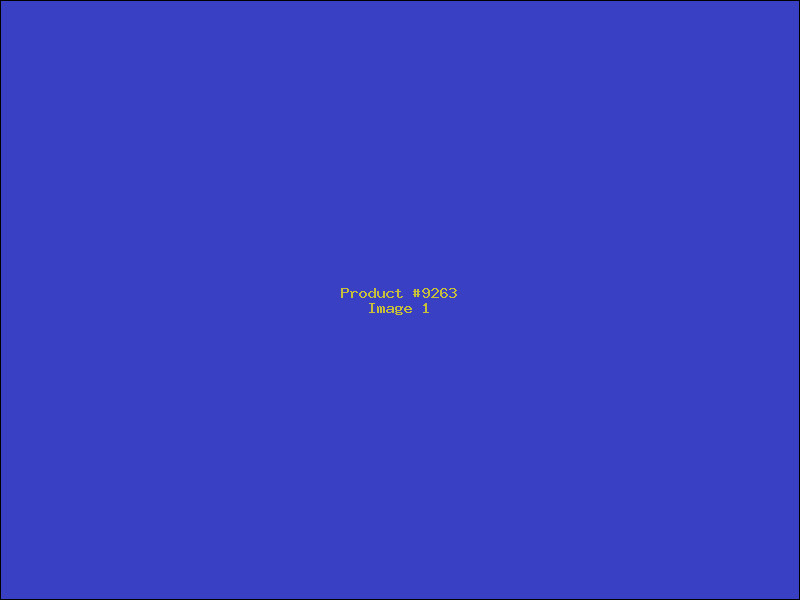 Example Product 9263