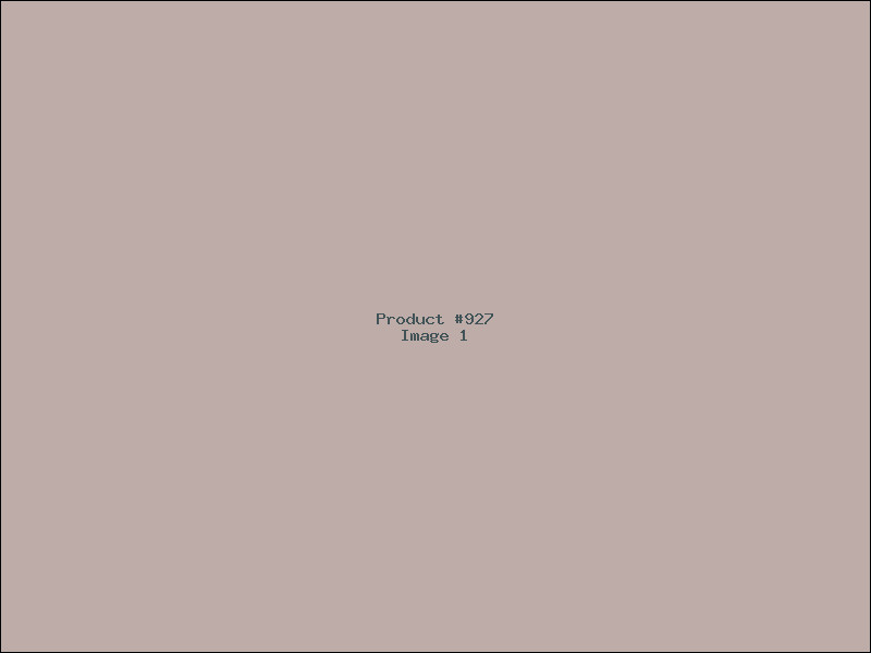 Example Product 927