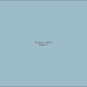 Example Product 9273