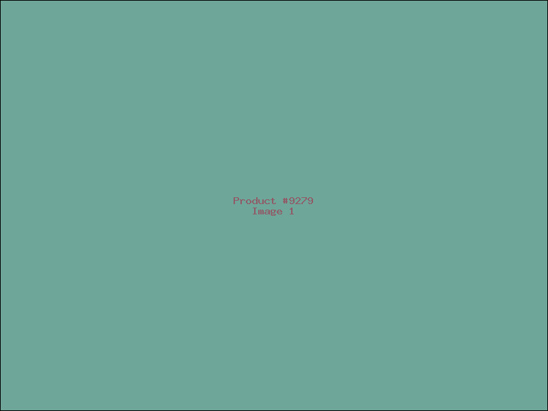 Example Product 9279