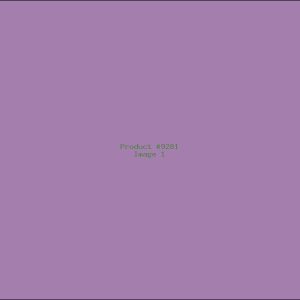 Example Product 9281