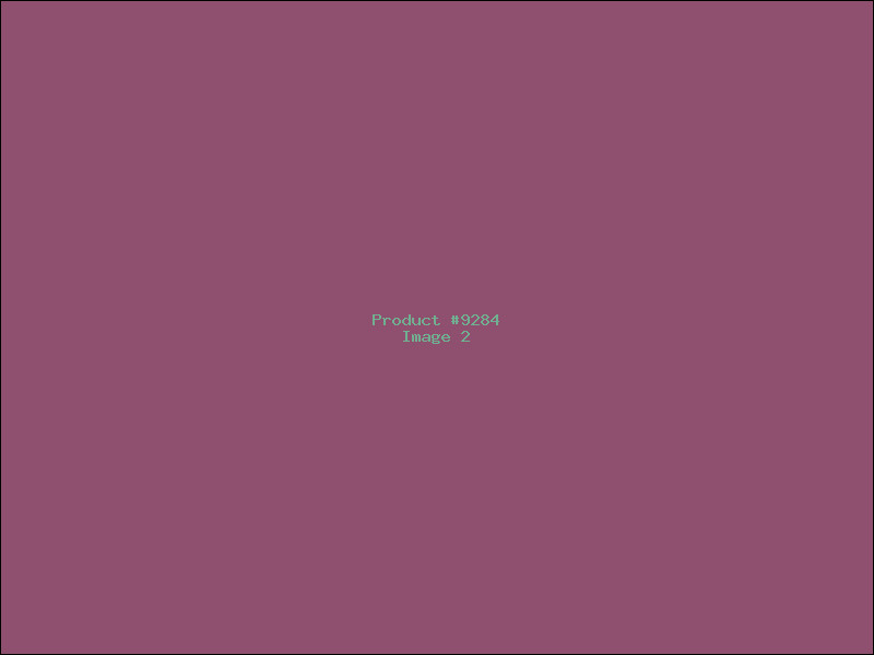 Example Product 9284 - Image 2