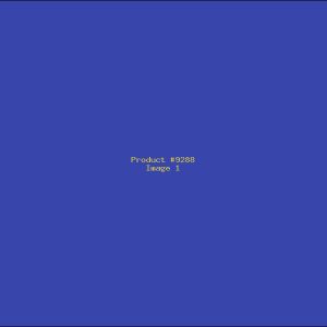 Example Product 9288
