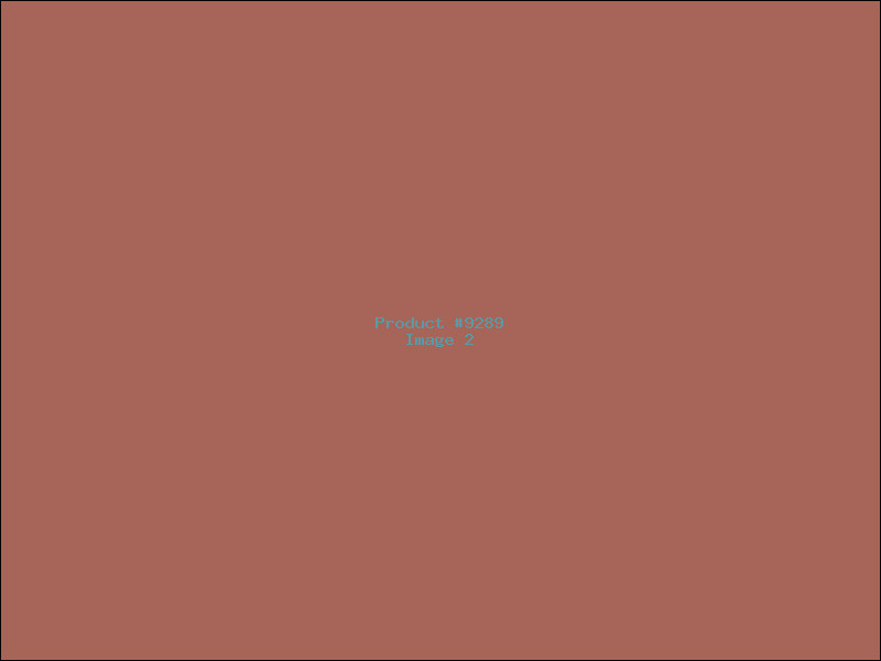 Example Product 9289 - Image 2