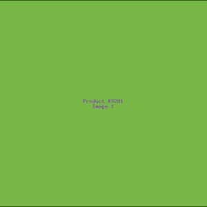 Example Product 9291