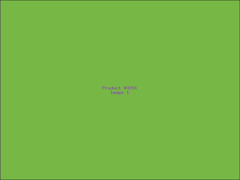 Example Product 9291