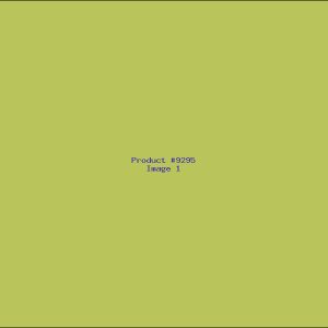 Example Product 9295