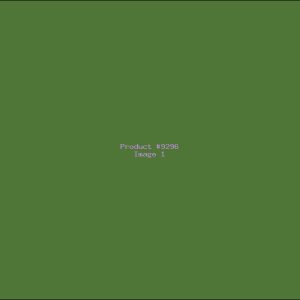 Example Product 9296