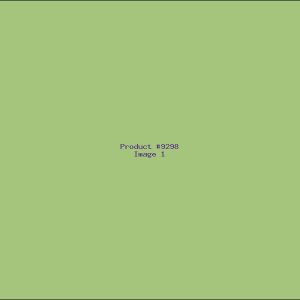 Example Product 9298