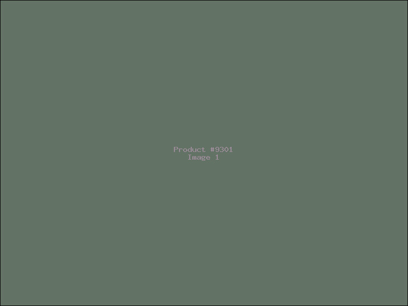 Example Product 9301