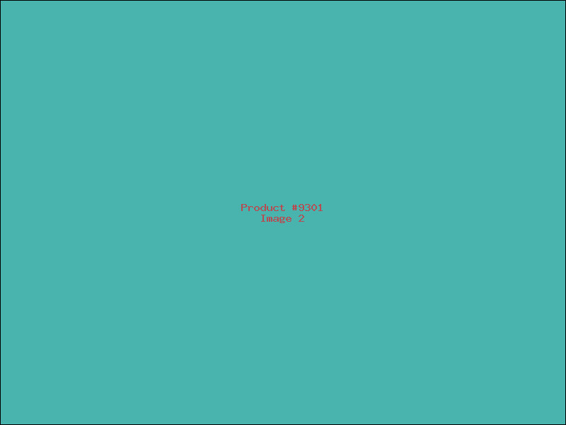 Example Product 9301 - Image 2