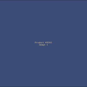 Example Product 9302