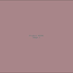 Example Product 9306