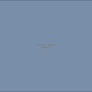 Example Product 9308
