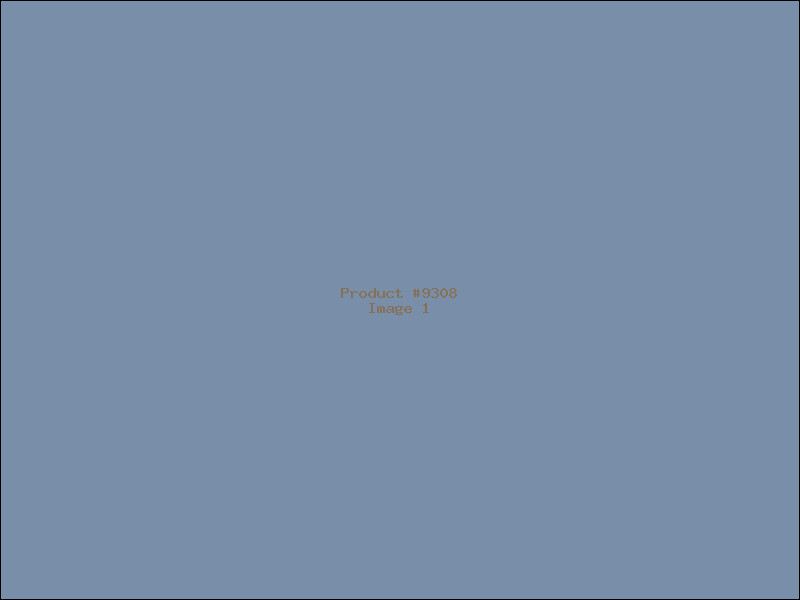 Example Product 9308