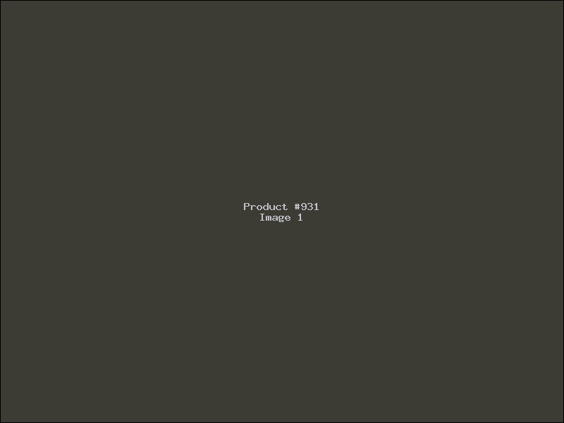 Example Product 931