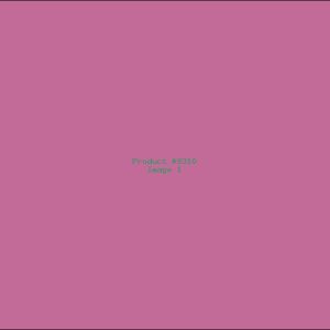 Example Product 9310