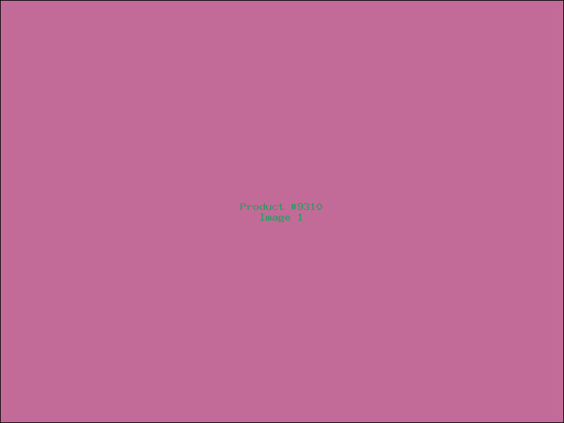 Example Product 9310