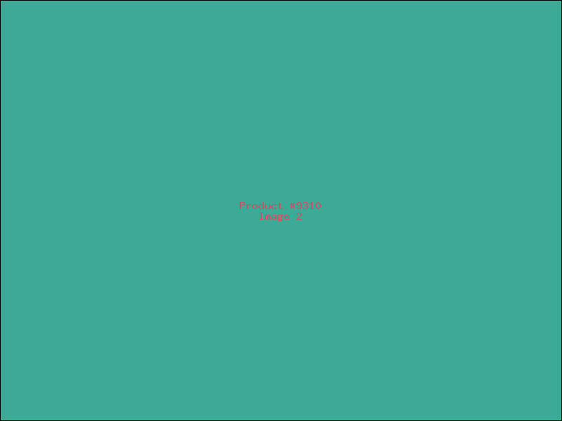 Example Product 9310 - Image 2