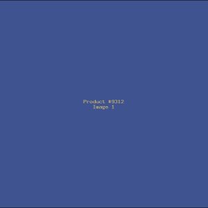 Example Product 9312
