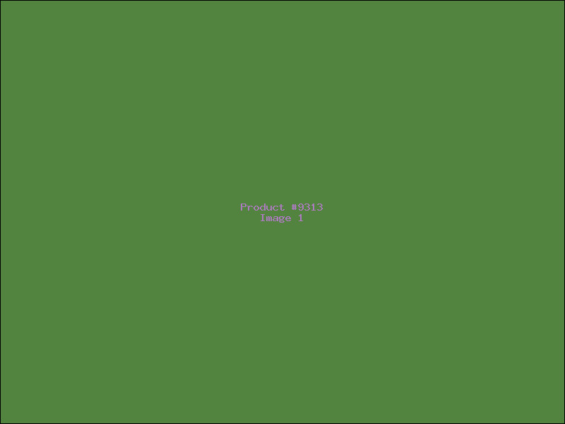 Example Product 9313