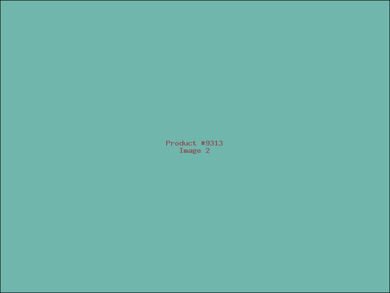 Example Product 9313 - Image 2
