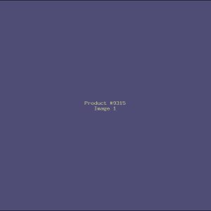 Example Product 9315