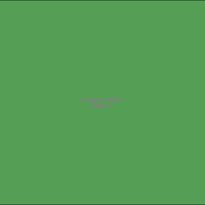 Example Product 9317