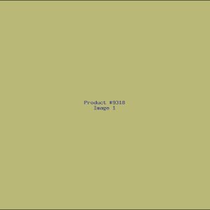 Example Product 9318