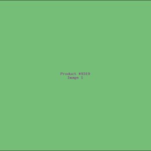 Example Product 9319