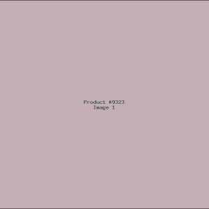 Example Product 9323