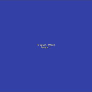 Example Product 9332