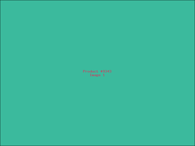 Example Product 9343