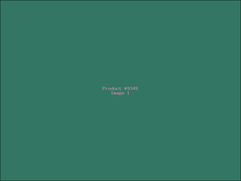Example Product 9349
