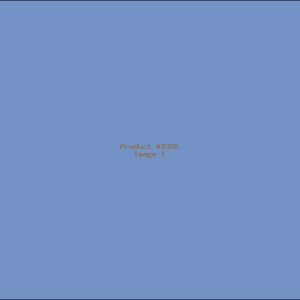 Example Product 9355