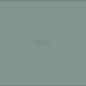 Example Product 9359