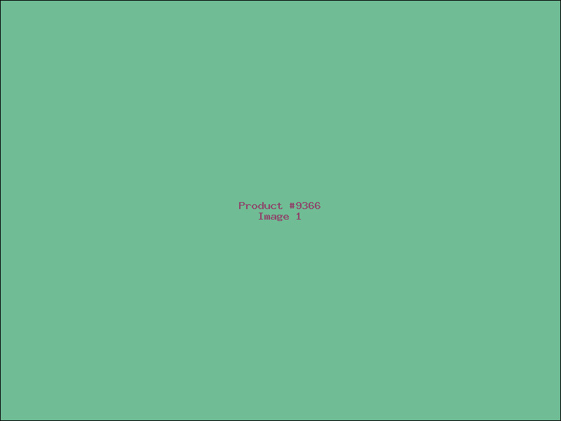 Example Product 9366