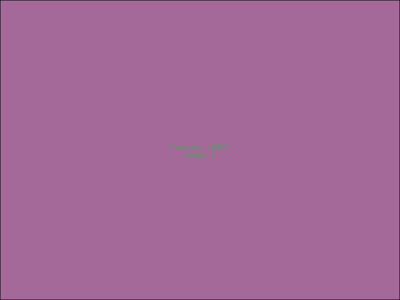 Example Product 9370