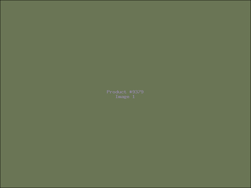 Example Product 9379