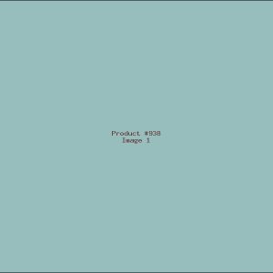 Example Product 938
