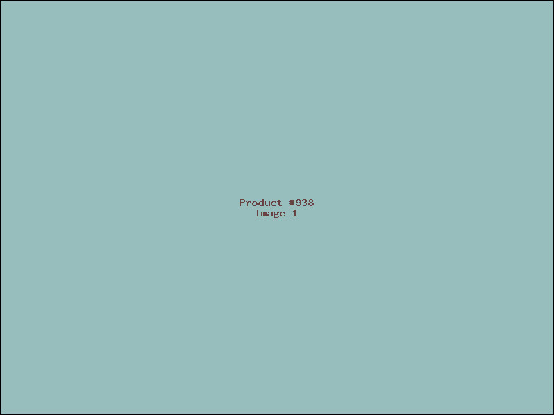 Example Product 938