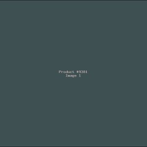 Example Product 9381
