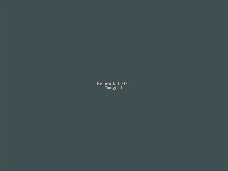 Example Product 9381