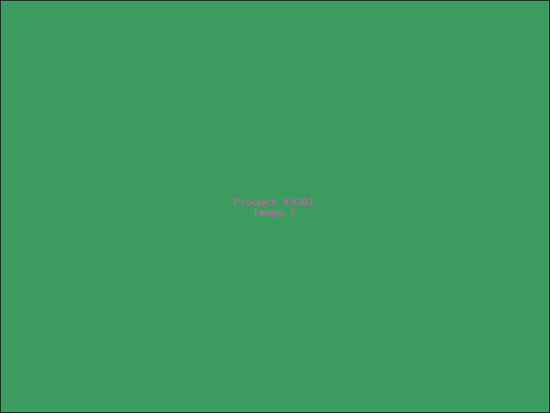 Example Product 9381 - Image 2