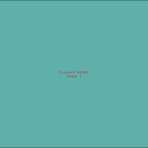 Example Product 9384